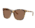 Lunettes de Soleil Ralph Lauren RL8201