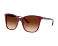 Lunettes de Soleil Ralph Lauren RL8201