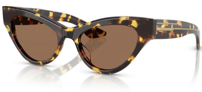 Lunettes de Soleil Oliver Peoples 1951C OV5573SU