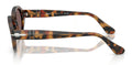 Lunettes de Soleil Persol Loris PO3378S
