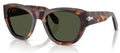 Lunettes de Soleil Persol PO0054S