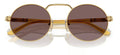 Lunettes de Soleil Persol PO1019S