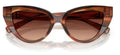 Lunettes de Soleil Dolce & Gabbana DG4497