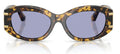 Lunettes de Soleil Dolce & Gabbana DG4502