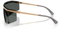 Lunettes de Soleil Michael Kors Palisades MK1169
