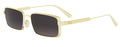 Lunettes de Soleil Dior DIORCANNAGE S2U