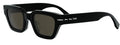 Lunettes de Soleil Fendi SELLERIA FE40191I