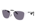 Lunettes de Soleil Oakley Frogskins hybrid OO9289