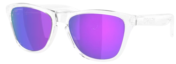 Lunettes de Soleil Oakley Frogskins S OO9508
