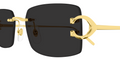 Lunettes de Soleil Cartier Piccadilly CT0605S