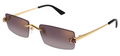 Lunettes de Soleil Cartier Panthère CT0598S