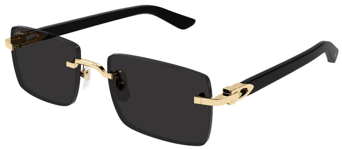 Lunettes de soleil Cartier Décor C CT0579S
