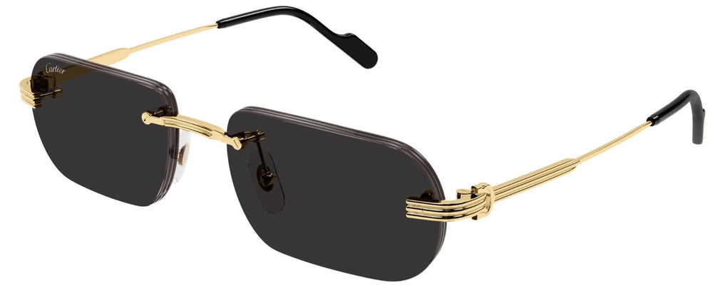 Lunettes de soleil Cartier Première CT0577S