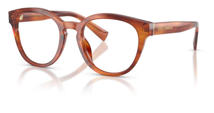 Lunettes de vue Dolce&Gabbana DG3421
