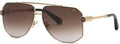 Lunettes de Soleil Philipp Plein SPP204