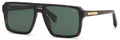 Lunettes de Soleil Philipp Plein SPP211