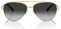 Lunettes de Soleil Tiffany & Co TF3101B