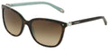 Lunettes de Soleil Tiffany & Co TF4105HB