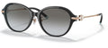Lunettes de Soleil Tiffany & Co TF4188D