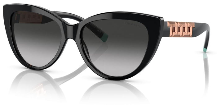 Lunettes de Soleil Tiffany & Co TF4196