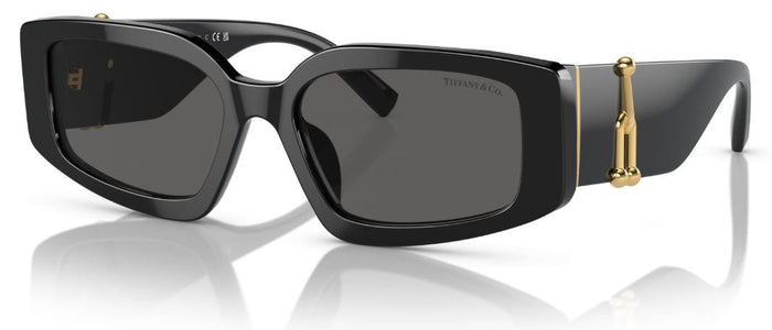 Lunettes de Soleil Tiffany & Co TF4208U