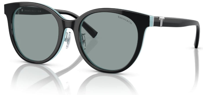 Lunettes de Soleil Tiffany & Co TF4209D