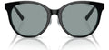 Lunettes de Soleil Tiffany & Co TF4209D