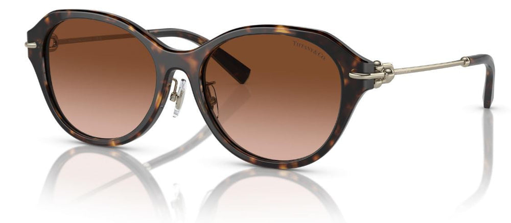 Lunettes de Soleil Tiffany & Co TF4210D