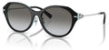 Lunettes de Soleil Tiffany & Co TF4210D