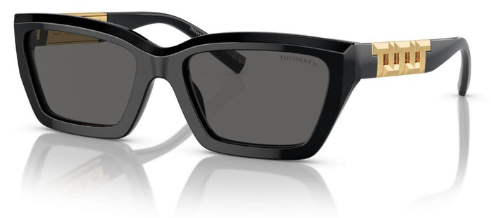 Lunettes de Soleil Tiffany & Co TF4213