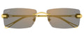 Lunettes de Soleil Cartier Precious CT0647S