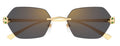 Lunettes de Soleil Cartier Panthère CT0636S