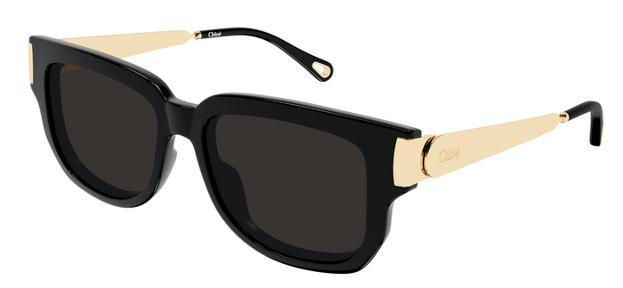 Lunettes de soleil Chloé CH0351S