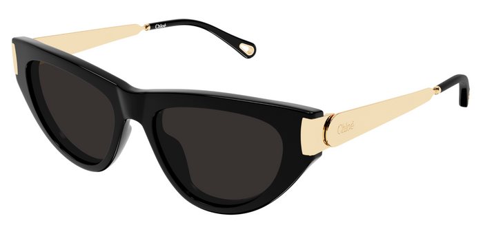 Lunettes de soleil Chloé CH0350S
