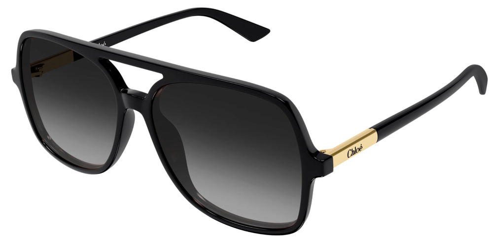 Lunettes de soleil Chloé CH0364S
