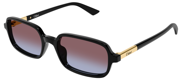 Lunettes de soleil Chloé CH0363S