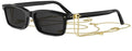 Lunettes de Soleil DIOR Petit CD S1I