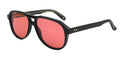 Lunettes de soleil AndyBrook Marlone