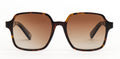 Lunettes de soleil AndyBrook Tali