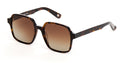 Lunettes de soleil AndyBrook Tali