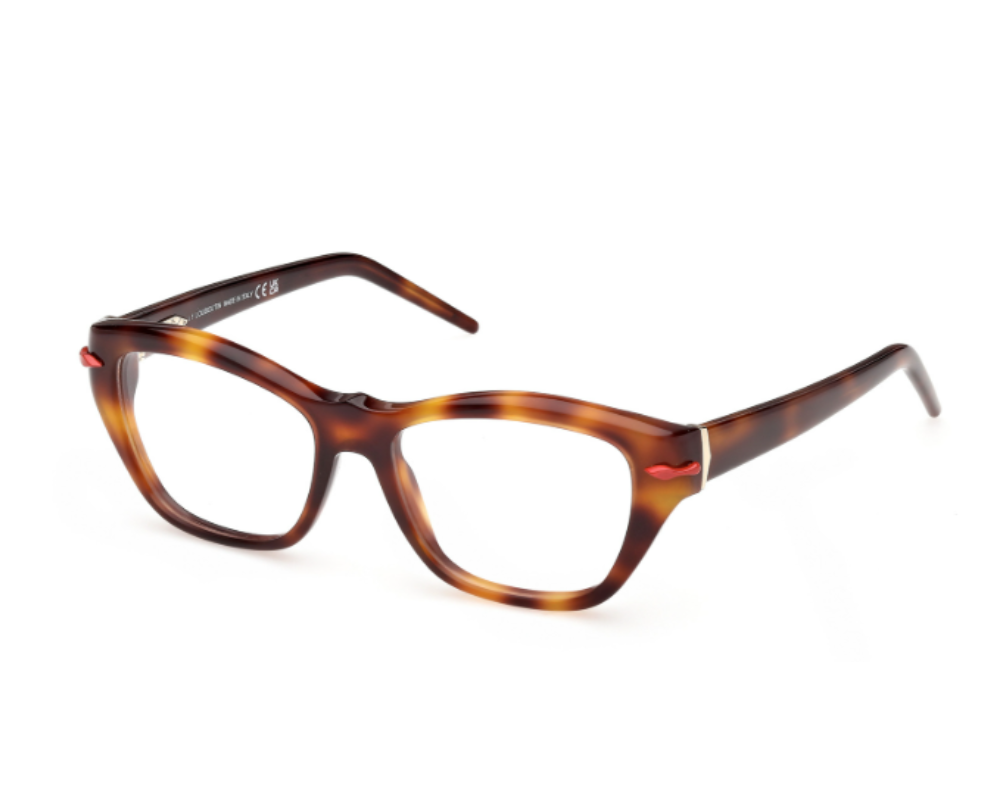 Lunettes de vue Christian Louboutin LB5013