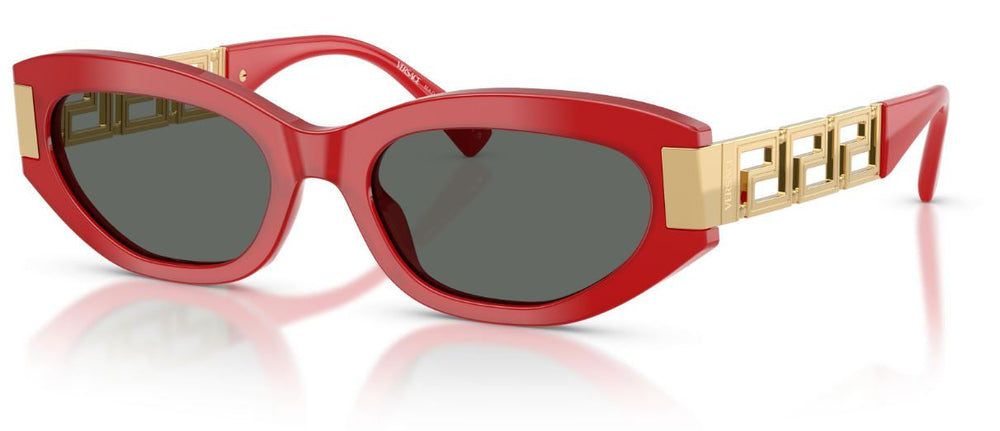 Lunettes de Soleil Versace VE4501