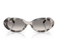 Lunettes de soleil Ray-Ban RB2223