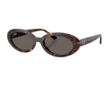 Lunettes de soleil Ray-Ban RB2223