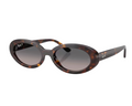 Lunettes de soleil Ray-Ban RB2223