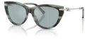 Lunettes de Soleil Tiffany & Co TF4253