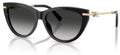 Lunettes de Soleil Tiffany & Co TF4253