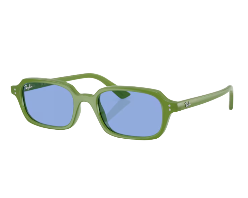 Lunettes de soleil Ray-Ban Zuri RB4455