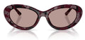 Lunettes de Soleil Dolce & Gabbana DG4519