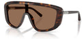 Lunettes de Soleil Dolce & Gabbana DG4520